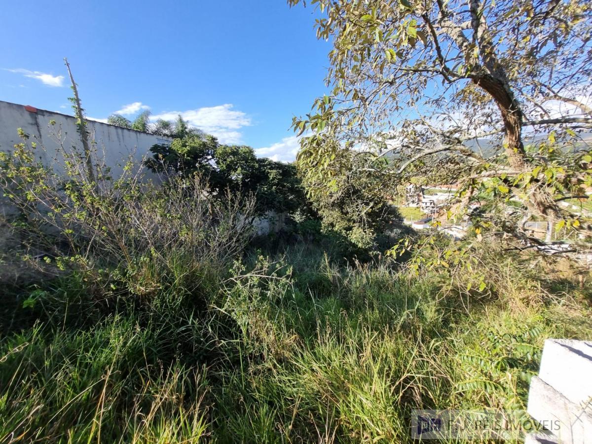 Terreno, 1078 m² - Foto 2