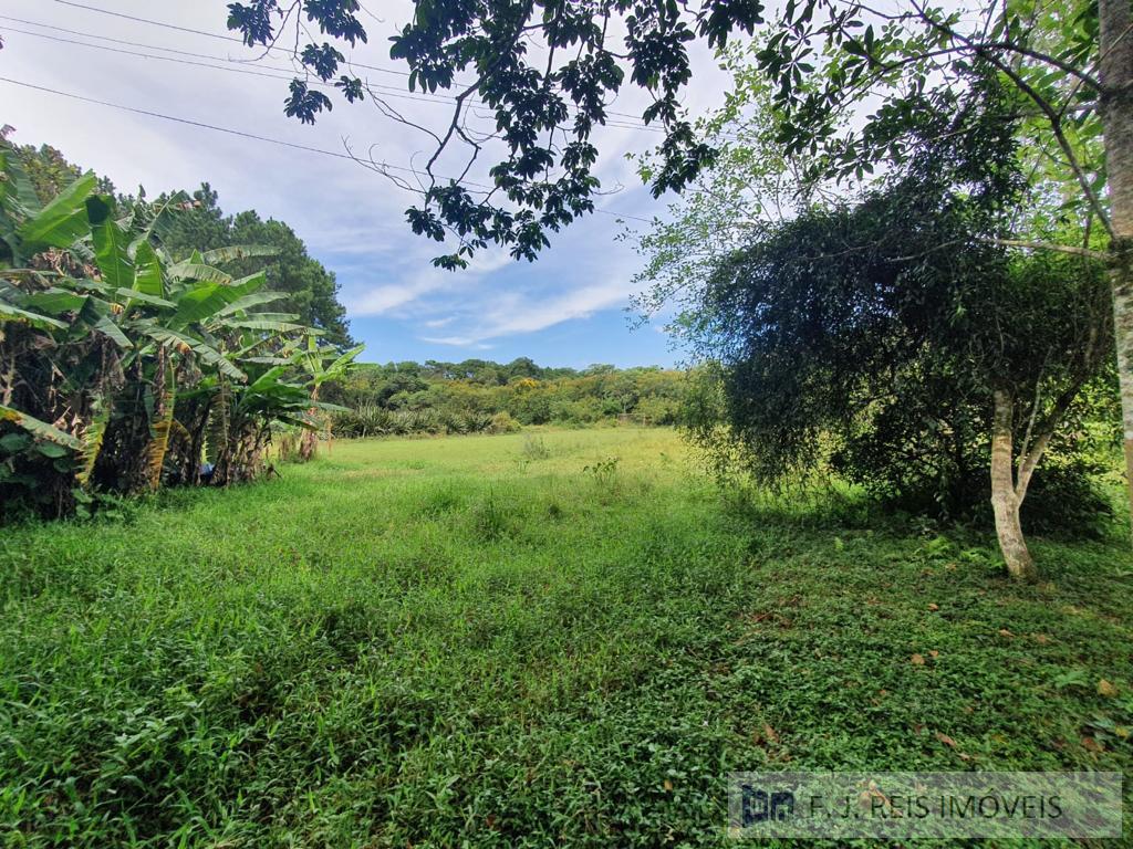 Chácara, 3 quartos, 8800 m² - Foto 28